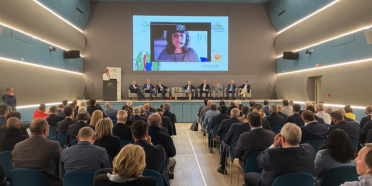 Ortofrutta, necessario gettare le basi per una rinnovata competitività 